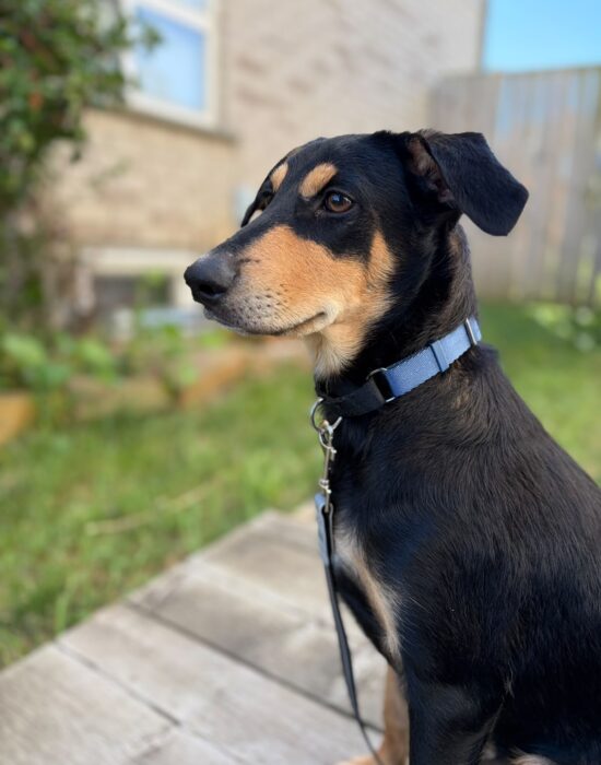 COOPER